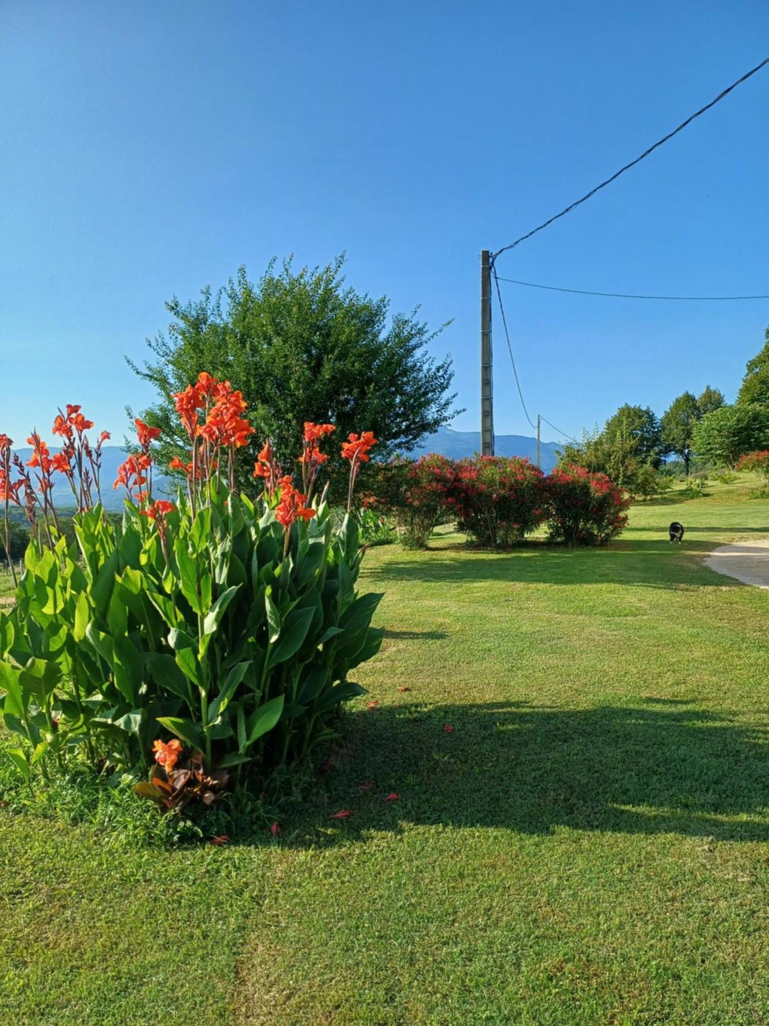 Appartement Le Pouyet à Saint-Lattier Extérieur photo